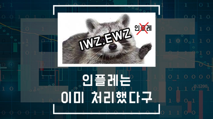  당신도 예외가 아니다! 그래서 하이퍼인플레이션에서 살아남을 ETF를 준비했다 ( IWIN , EWZ 브라질 ETF)