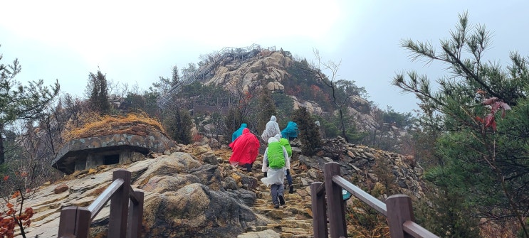 관청우 종주 ( 관악산, 청계산, 우면산 ) 연계 산행