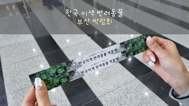  한국이색반려동물 박람회 다녀왔어요(생물편)