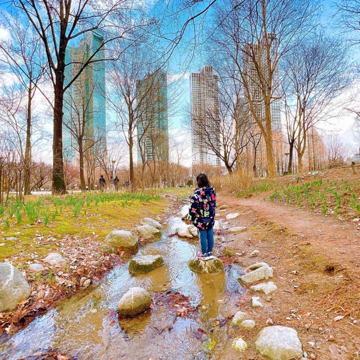 서울숲 봄나들이 데이트코스 갈만한곳 서울숲공원 피크닉 아이와 가볼만한곳 추천