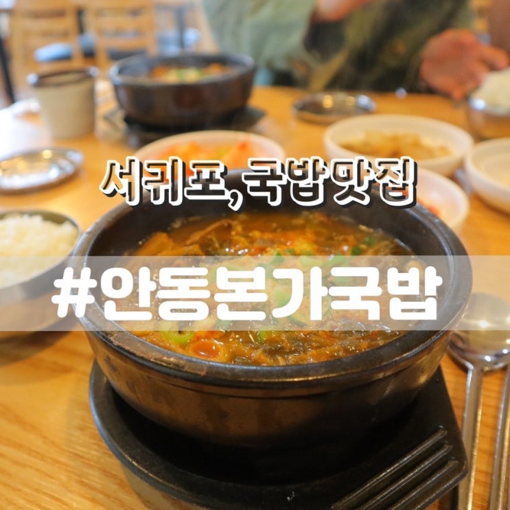  서귀포맛집 안동본가국밥/ 서귀포밥집 서귀포혼밥 추천