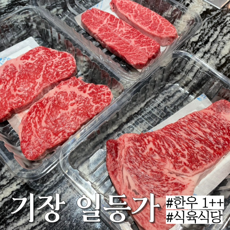  기장 맛집: 한우 1++를 직접 골라 먹을 수 있는 기장 오션뷰 한우집 "일등가 한우만찬"
