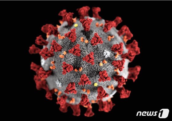코로나 19 오미크론 끝 새로운 시작 변이바이러스 하반기 등장