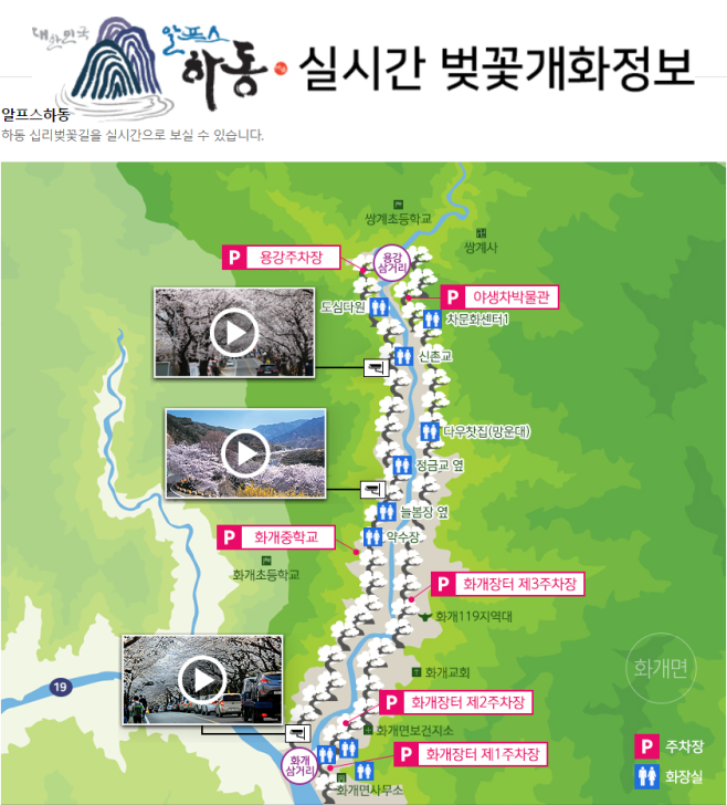  [정보] 실시간 벚꽃 CCTV 영상(링크 有)_'알프스하동 십리벚꽃길' #2022년 벚꽃 예상시기