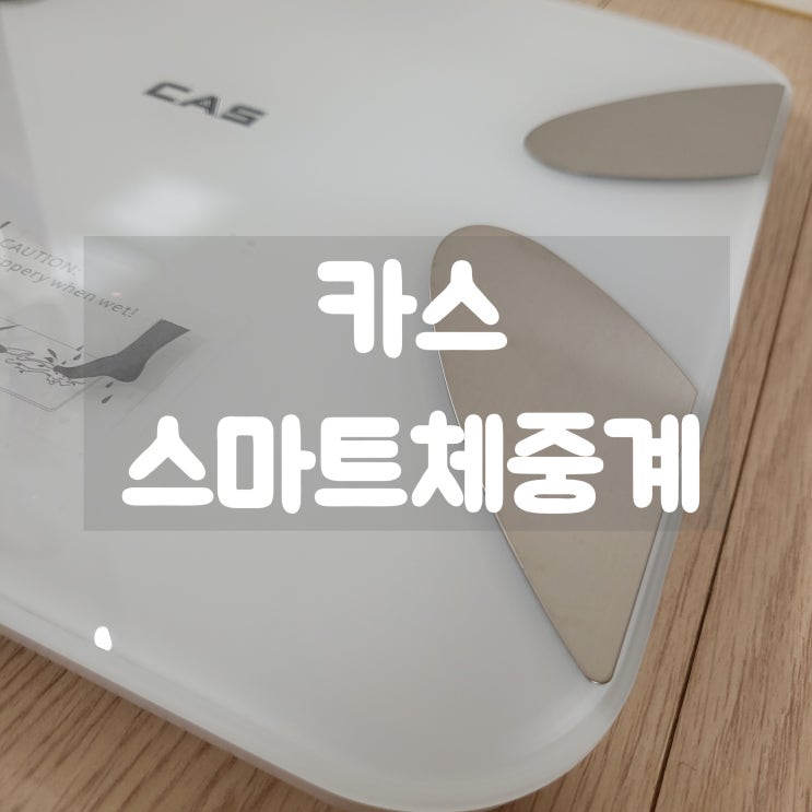  스마트체중계 카스 블루투스 인바디 체중계(BF-1905B) 후기