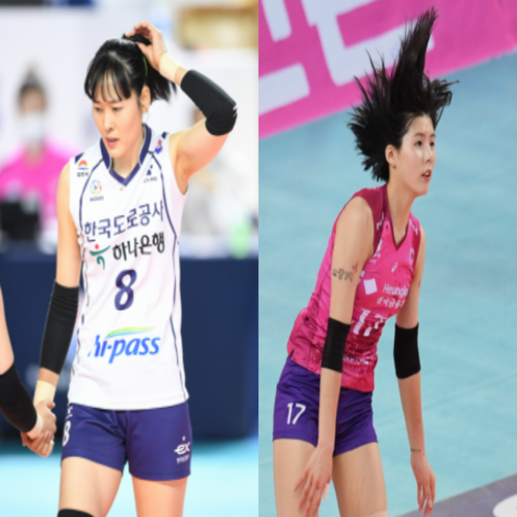 22~23 역대급 여자배구 FA 시작(2)(임명옥, 이나연, 김다솔, 김주하, 신연경, 고민지, 최수빈, 김연경, 이재영)