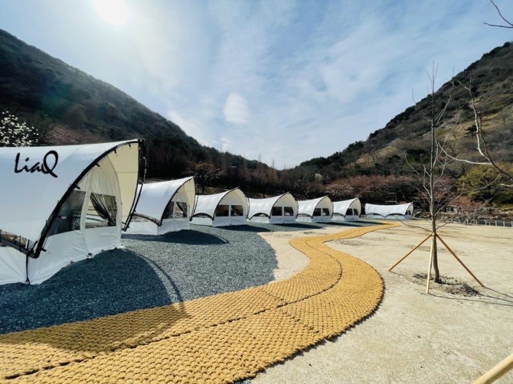  진주 월아산 숲속의 진주 글램핑, 야영장,단독펜션,콘도까지 개장시기 및 예약 방법, 가격까지