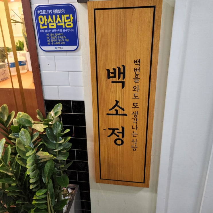  마제소바가 먹고싶을땐 범계[백소정]