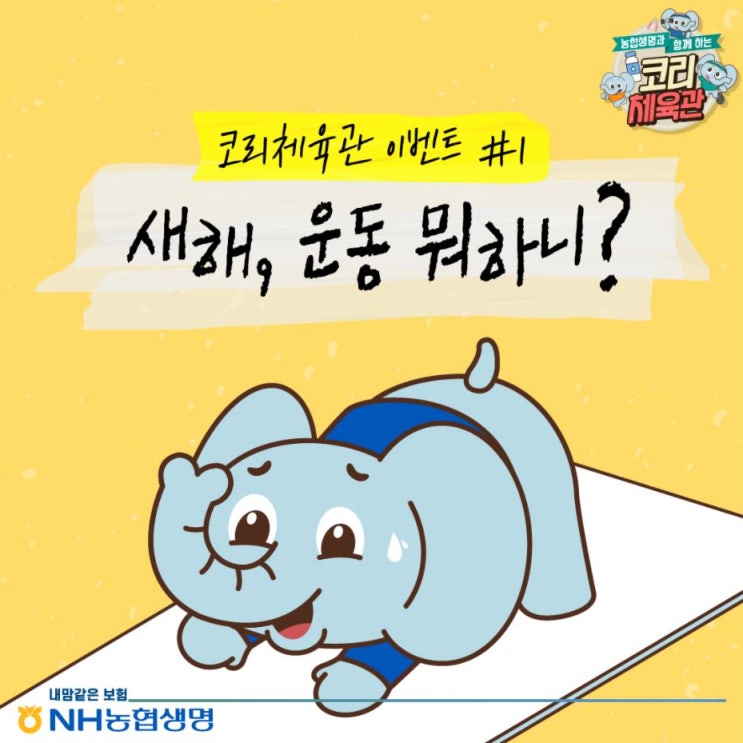  [제품리뷰] NH농협생명 '요가매트' 숨은 코리를 찾고 함께 운동해요