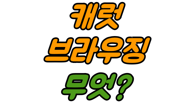  캐럿브라우징 마우스 안될 때
