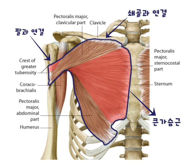  대화동요가_3월 마지막 주 교정요가