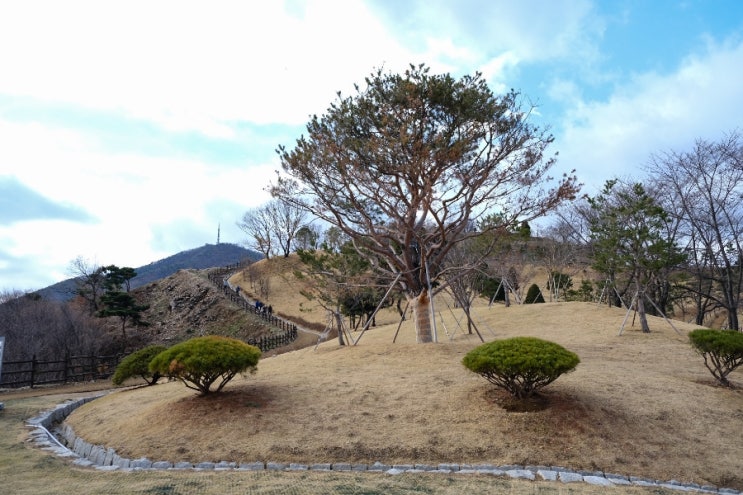  인천 계양산 등산 코스 및 시간