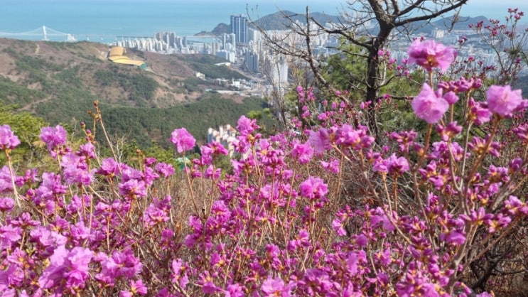 <b>한방 부동산 거래 정보망</b> 질문과 답변