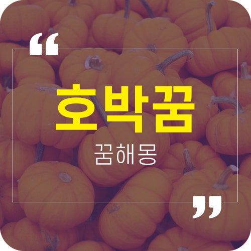 호박꿈해몽 늙은호박 애호박꿈 호박태몽 등