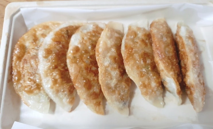  대구 수성구 상동 만두 맛집 [왕비만두] 고기만두 군만두 포장 시식