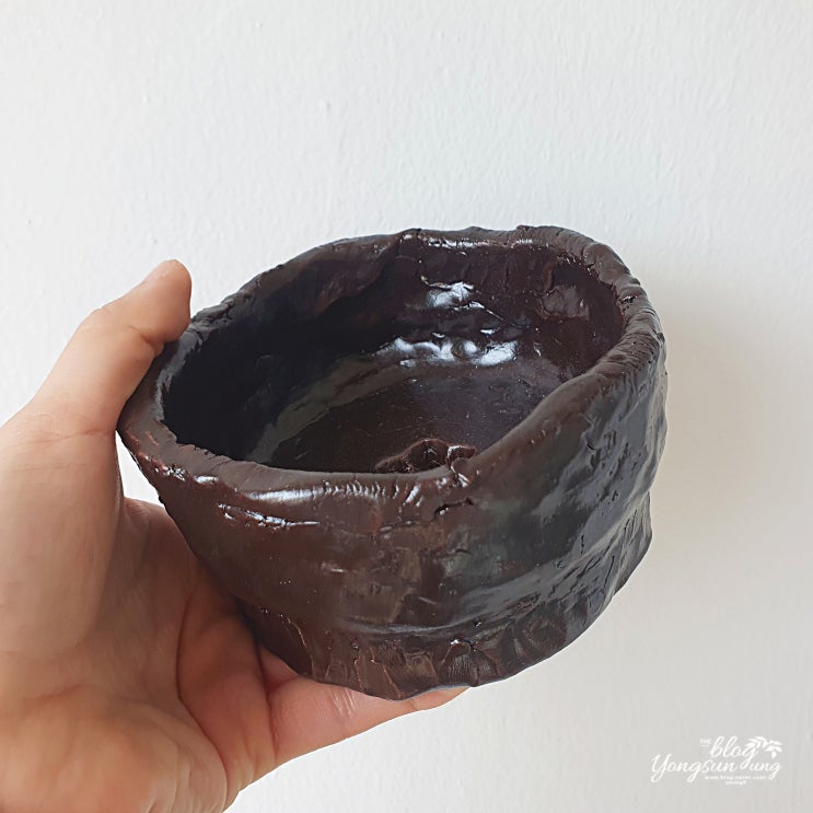  선물 받은 도자기 수제화분에 심을 식물은?