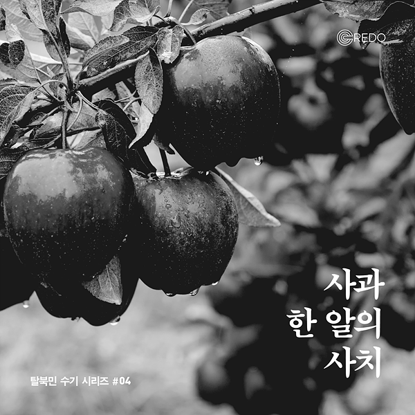 [카드뉴스] 사과 한 알의 사치 - 크레도 탈북민 수기
