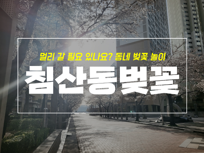  대구 침산동 동네에서 즐기는 벚꽃 놀이 장소 2곳