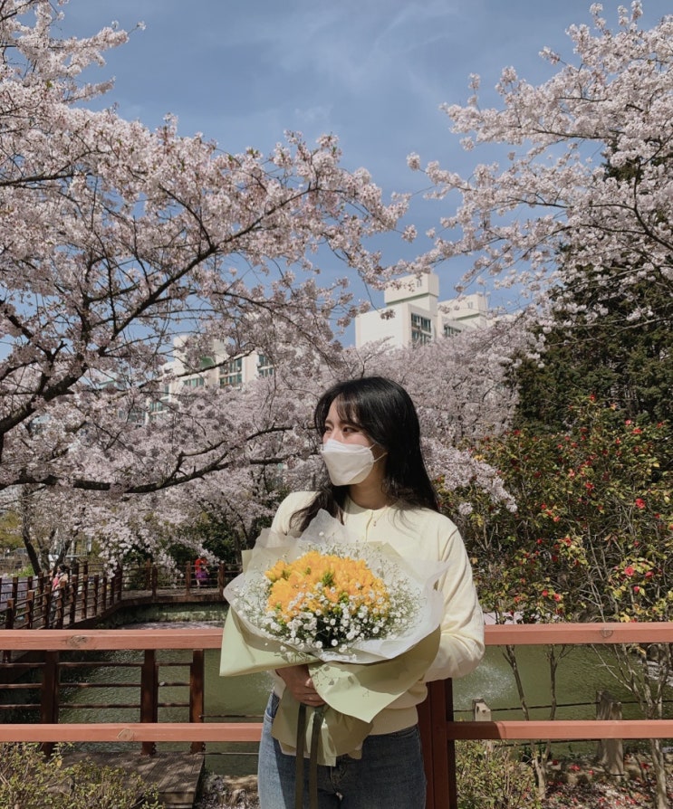 [목포] 2022.03. 27 봄여행 꽃놀이 꽃구경 /입암산 벚꽃 개화 실시간