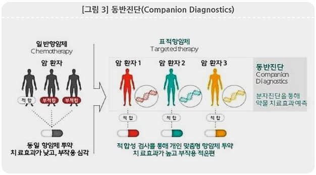 항암제 뗄 수 없는 짝꿍 '바이오마커·동반진단'