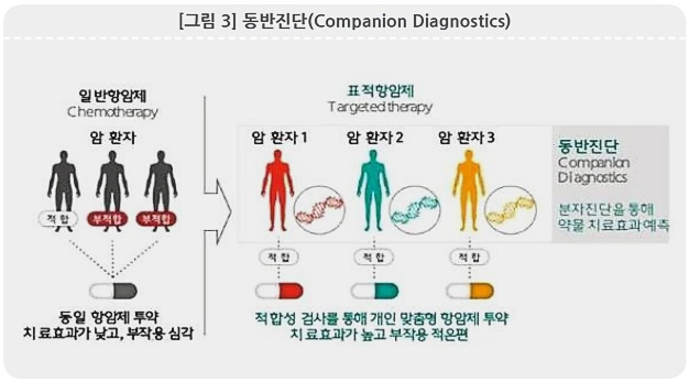  항암제 뗄 수 없는 짝꿍 '바이오마커·동반진단'