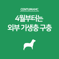  야외산책이 많아지는 4월부터는 외부 기생충 구충
