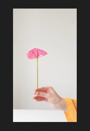  프리미어 프로 영상 크기 해상도 변경 유튜브 쇼츠 shorts 인스타그램 세로