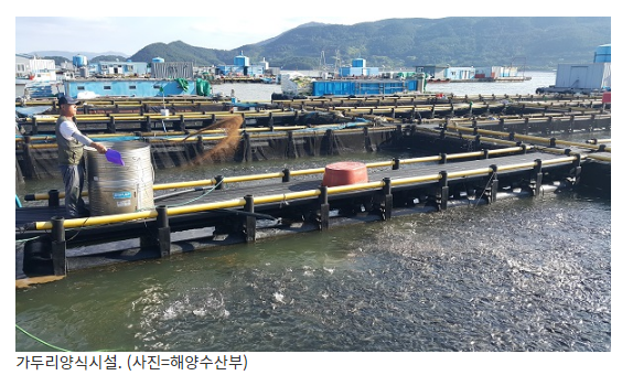 공공기관에 공익 목적 양식면허 발급…귀어귀촌 활성화 공공기관에 공익 목적 양식면허 발급…귀어귀촌 활성화