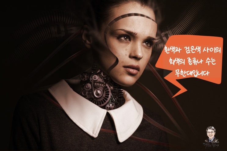  사이와 끼리, 반대말 비슷한 말