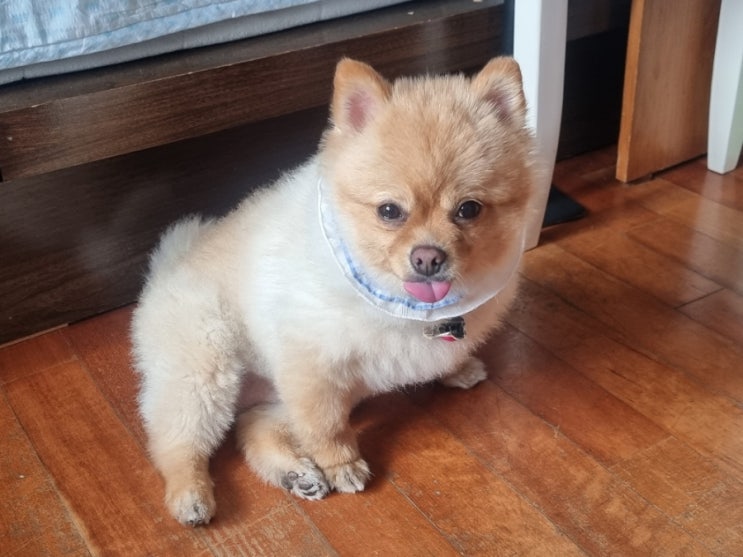  보여줄게 훨씬 더 예뻐진 나