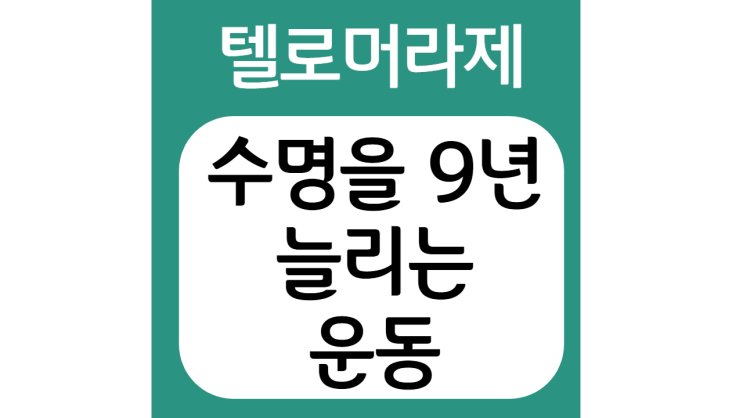  수명을 9년 연장시키는 마법 같은 운동!!!