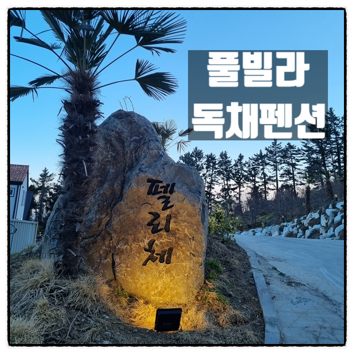 펠리체펜션 경북 독채 펜션 울릉도 풀빌라 소개 펠리체펜션 경북 독채 펜션 울릉도 풀빌라 소개