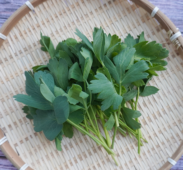  방풍나물 효능