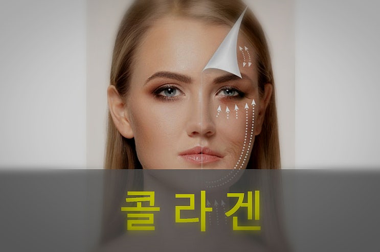  콜라겐 효능과 성분, 섭취량, 섭취방법, 음식