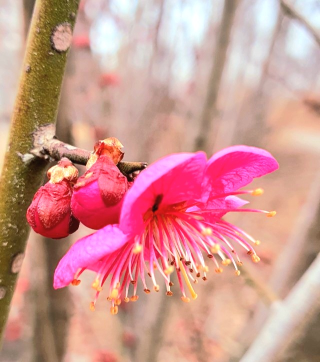  연인            김판암