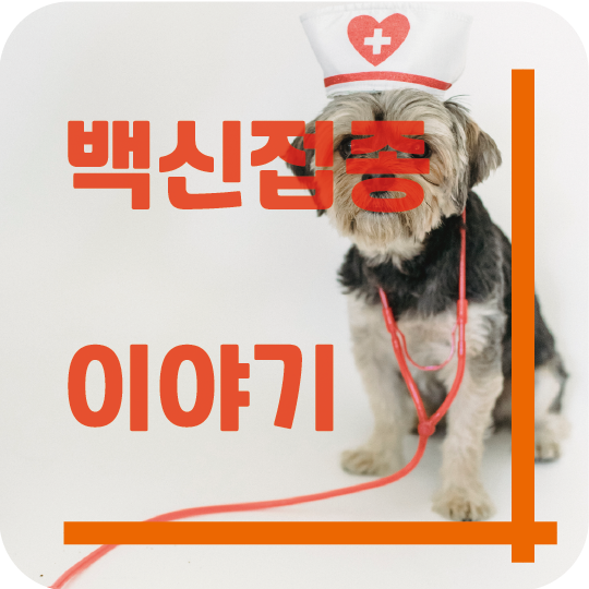  강아지 예방접종 어떻게 하지? *백신 이야기