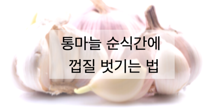 통마늘 순식간에 껍질 벗기는 법