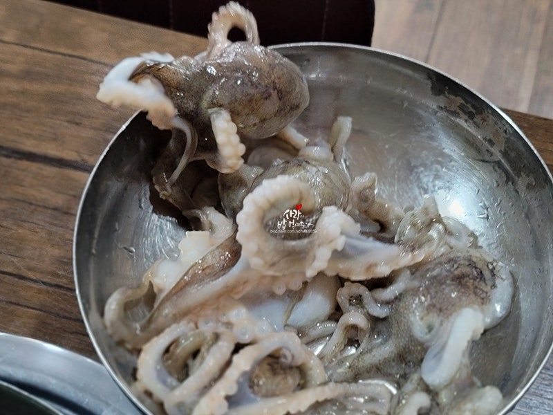 맛있는놈들 대꾸미 샤브샤브 산주꾸미 철판볶음 마포공덕동 맛있는놈들 원기회복 맛있는놈들 장어구이 산삼장어 숯불 장어 대파구이 용인 장어집 맛있는놈들 371회 8
