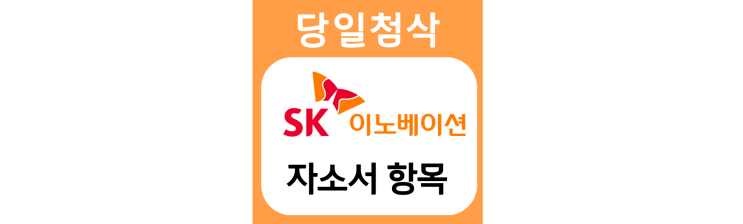 SK이노베이션 2022년 상반기 채용 자기소개서 문항 자소서 항목 작성방법 가이드라인 첨삭받기