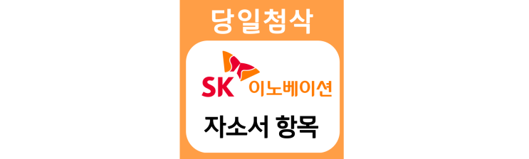 SK이노베이션 2022년 상반기 채용 자기소개서 문항 자소서 항목 작성방법 가이드라인 첨삭받기 SK이노베이션 2022년 상반기 채용 자기소개서 문항 자소서 항목 작성방법 가이드라인 첨삭받기