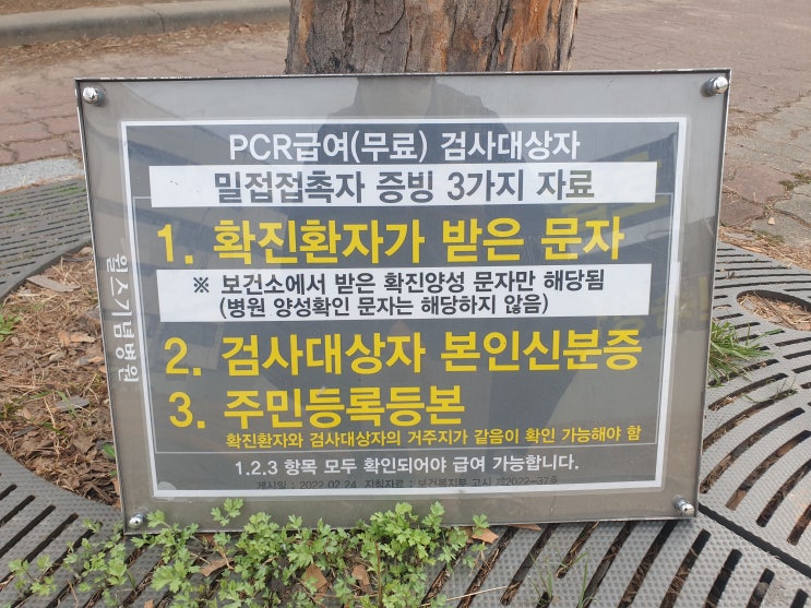  [코로나 신속 항원 검사 후기] 수원 윌스 병원 PCR / 신속 항원 검사받기 코로나와 비슷한 독감 증상