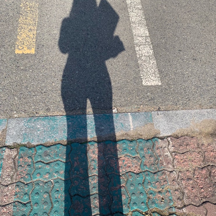  인생 현타기