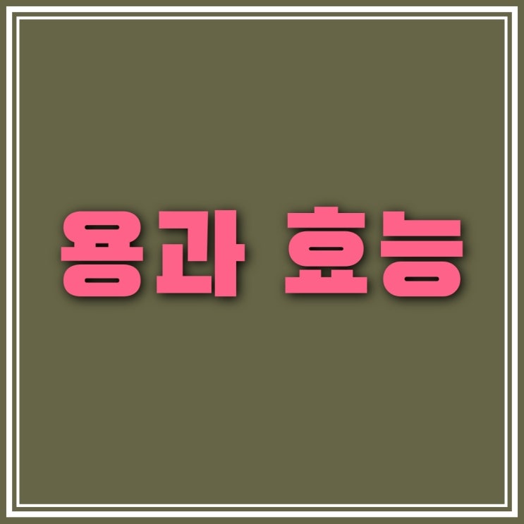  용과 효능 8가지 및 부작용 알고 맛있게 섭취해보기