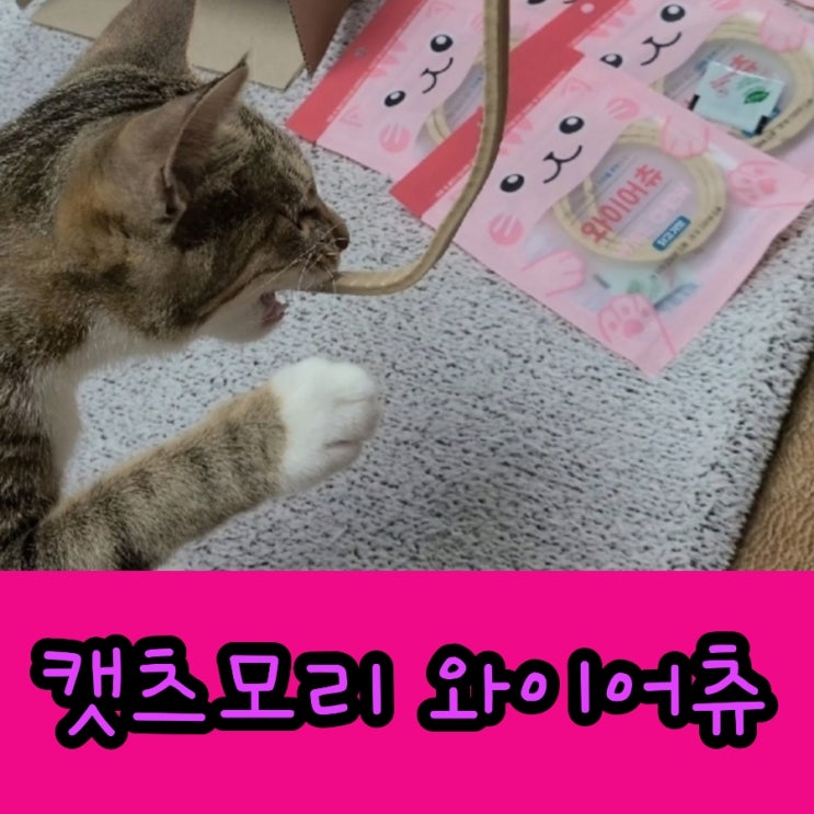 고양이 간식 껌 캣츠모리 와이어츄 치석제거 간식 으로   치아관리와 놀이 까지