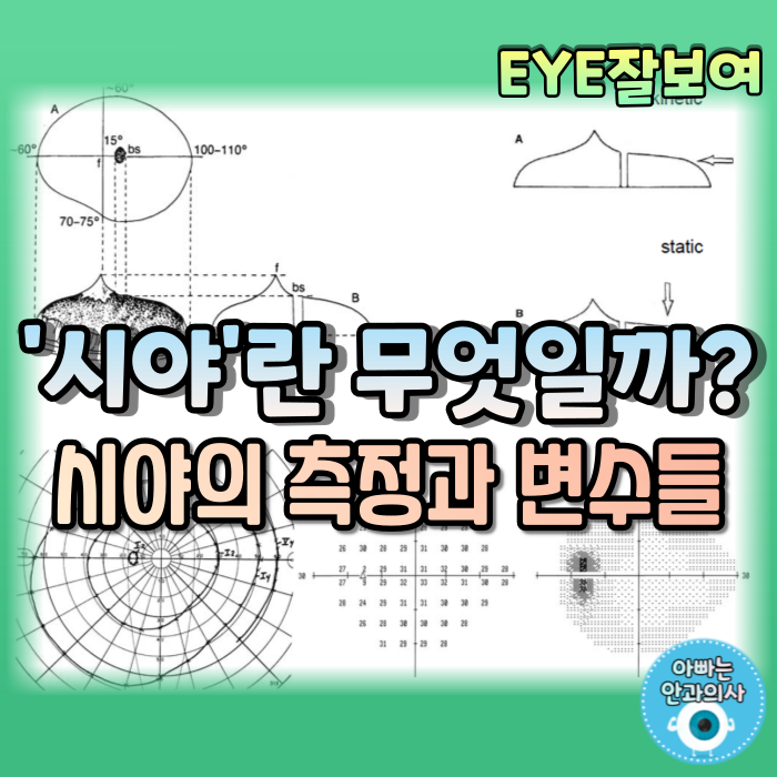  [EYE잘보여] 시야(Visual field)란, 어둠의 바다에 떠있는 '시력의 섬' - 시야의 측정과 시야에 영향을 주는 변수들