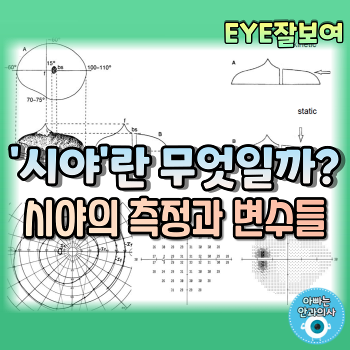 [EYE잘보여] 시야(Visual field)란, 어둠의 바다에 떠있는 '시력의 섬' - 시야의 측정과 시야에 영향을 주는 변수들