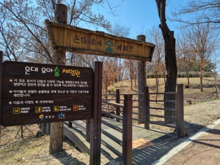  연천 아이들과 가볼만한곳 은대공원 은대유아숲체험원 숲놀이터 전곡읍행정복지센터