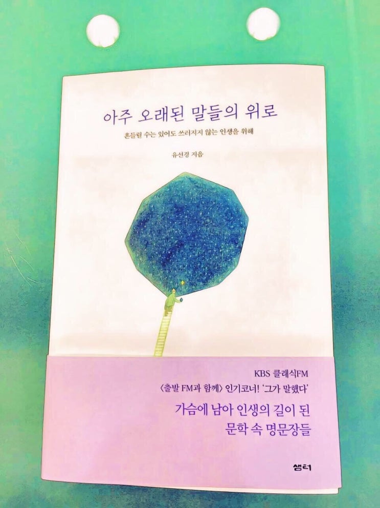  <아주 오래된 말들의 위로>  - 유선경