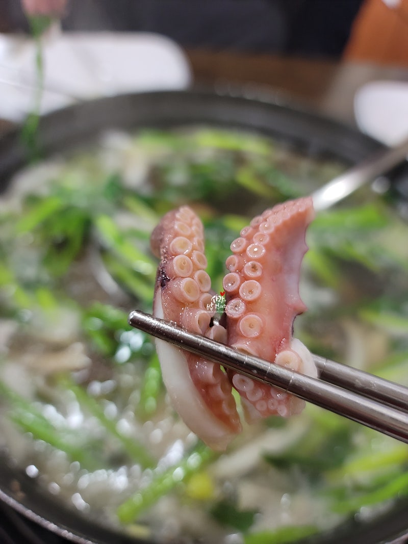 맛있는놈들 대꾸미 샤브샤브 산주꾸미 철판볶음 마포공덕동 맛있는놈들 원기회복 맛있는놈들 장어구이 산삼장어 숯불 장어 대파구이 용인 장어집 맛있는놈들 371회 11