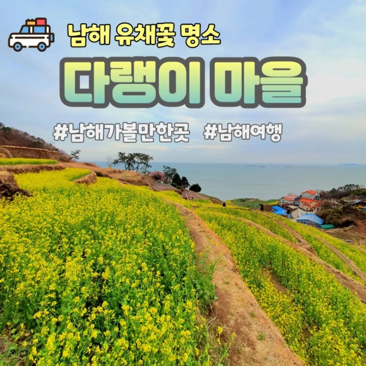  [남해 가볼만한곳] 유채꽃 명소 다랭이마을